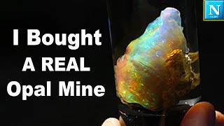 I Bought an OPAL MINE !!
