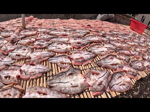 Fish Market Scenes and People Activities , Ever Seen Largest Fish Distribution in Cambodia