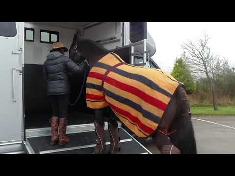 Why choose an Equi-Trek horsebox?