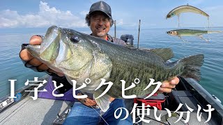 【バス釣り】″I字″と″ピクピク″の使い分けについて。線と点で広範囲を効率的に釣る方法 / 加藤誠司