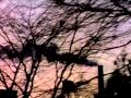 Anita Baker - "Same Ole Love" [Official Music Video]