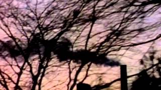 Anita Baker - "Same Ole Love" [Official Music Video]