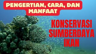 Download lagu Understanding fish resource conservation mp3 Download lagu Understanding fish resource conservation mp3