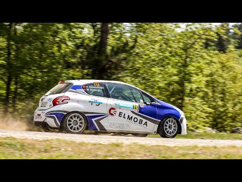Yıldıray Demircioğlu - Mehmet Köleoğlu | Peugeot 208 R2 | 2022 Yeşil Bursa Rallisi