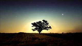 Vessel (Original Mix) By Hadouken!