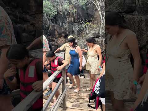 Galápagos, isla Santa Cruz. Sector las grietas, en la piscina natural #galapagos #turismoecuador