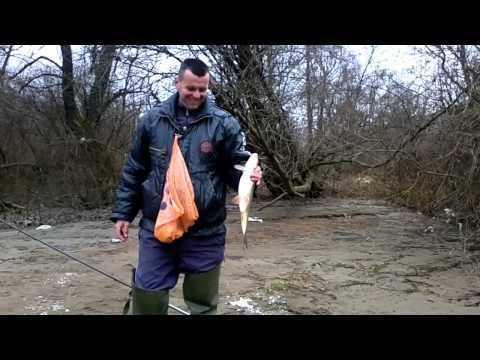 Lov skobalja na Drini u Gorazdu - Haris Korda (januar 2014.)