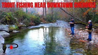 Trout Fishing Near Downtown Cherokee