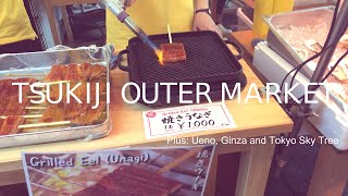 Tokyo's Ueno area, SkyTree, Ginza and Tsukiji fish market - Japan Travel Vlog 4