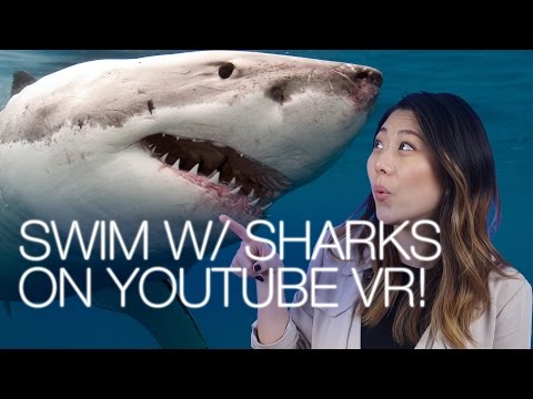 YouTube VR App, Use Paypal w/ Siri, Samsung Nougat Beta