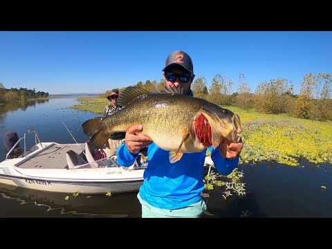 GIANT 13 POUND LARGEMOUTH BASS CAUGHT IN SOUTH AFRICA - Cast to Catch to SCALE.