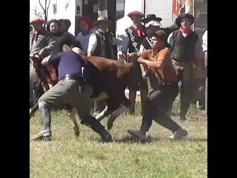 Ganadores del volteo a la uña en Campo Andino Santa Fe