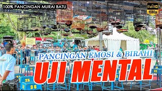 Download lagu PANCINGAN EMOSI & BIRAHI MURAI BATU, SIMULASI LOMBA UJI MENTAL DI GANTANGAN mp3