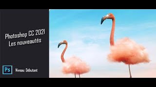 Je peux vous fournir Adobe Photoshop cc 2021 Premium + Clé(version complète)