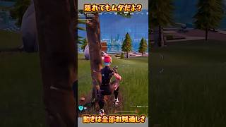 【FORTNITE】隠れてもムダだよ？