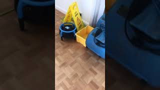 I updated the carpet in a beautiful house. A wonderful result awaited the owner, who was very satisfied with the job.