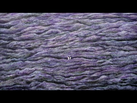 Let’s get lost. - Ink Waruntorn x Suntur