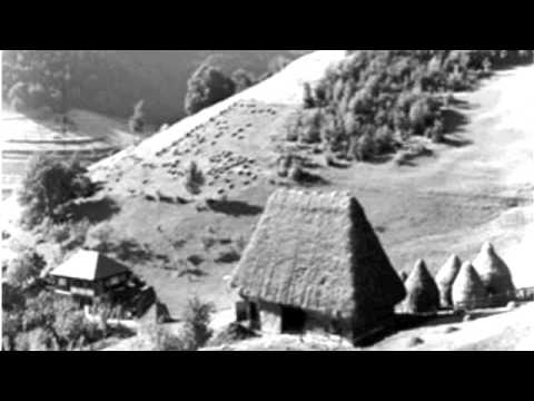 Traian Lascut Fagarasanu - Invartita de la Fagaras