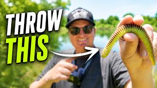 THROW THIS for Post Spawn Bass Fishing