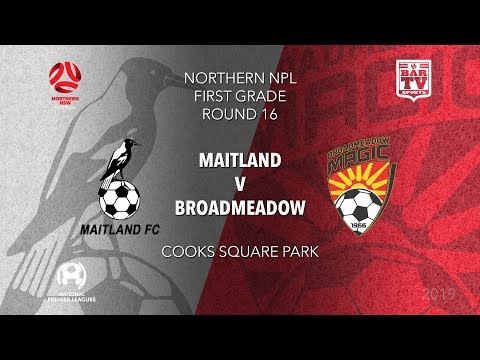 2019 NPL Northern NSW 1st Grade - Round 16 - Maitland Magpies v Broadmeadow Magic