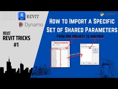 How to Import a Specific Set of Shared Parameters from One Project to Another in Revit |BIM Kintsugi