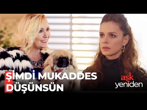 Mukadder ve Köpeği Oyuna Katılıyor - Aşk Yeniden Özel Sahneler