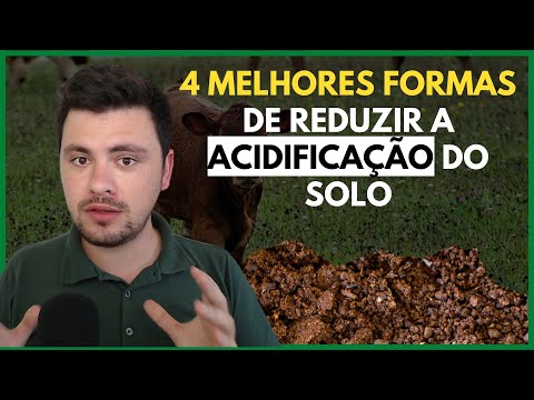 4 melhores formas de reduzir a ACIDIFICAÇÃO do solo