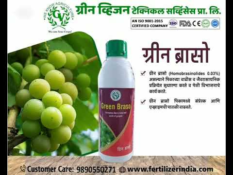 Homo Brassinolide liquid, Bottle, Packaging Size: 500 ml