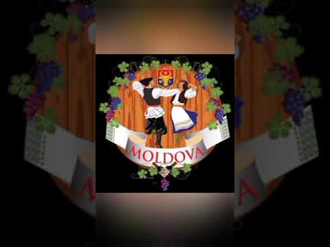 For. Prut - da eu sunt hoinar 🎹🇲🇩💯 2024
