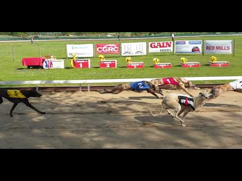 Isaszeg Agárverseny, 2019.05.11. Ticket