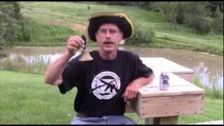 Let Freedom Ring National Celebration