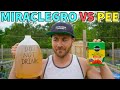 MiracleGro VS Pee: Which Fertilizer Is Better? Surprising Results!