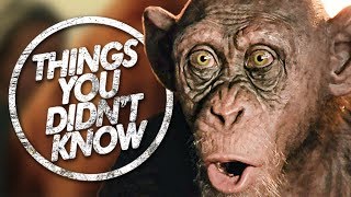 7 MORE Things You (Probably) Didn't Know About Planet of the Apes