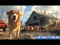 Best Adventure Comedy Incredible Adventures To Save The Puppy Shelter Full Movie