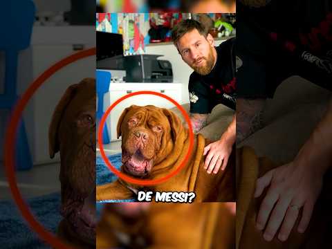 Qué pasó con el perro de Messi? 🐶😢 #football #futbol #messi #shorts #short