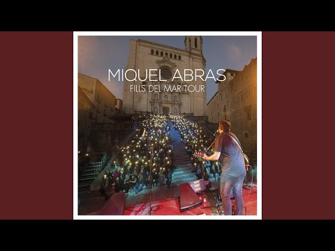 El Teu Far (En Directe)