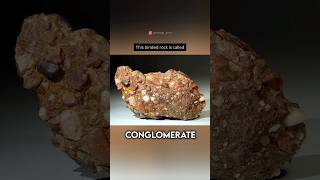 Download lagu Conglomerate! #shorts #rocks #geology mp3