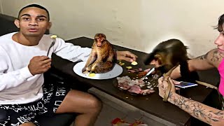 memes que acabam com o racism0 🐵 Compilado Shitpost