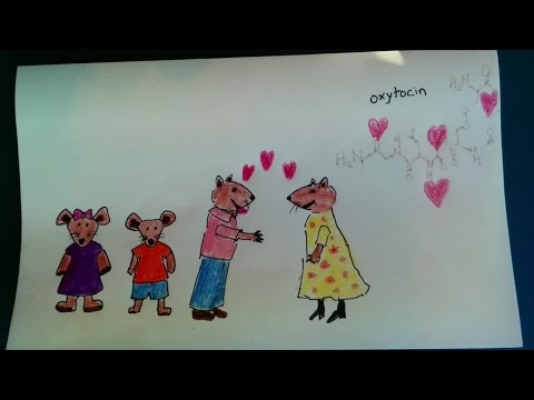 Prairie Vole hugs, with Dr. Larry Young