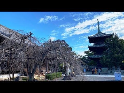 安珍大学 (ドゥエー) - 定義