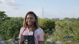 MSME Spotlight: Island Mystique