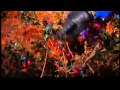 Albuquerque Home Rivals Clark Griswold S Christmas Lights