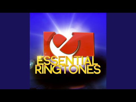 Take Me In Your Arms (Chorus)