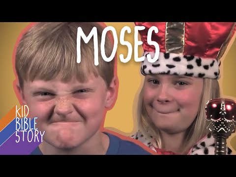 Witness21 Editor  2014 08 08