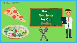 Basic Nutrients Needed by Our Bodies | Biology