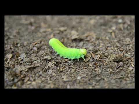 La ricchezza e la forza della Natura