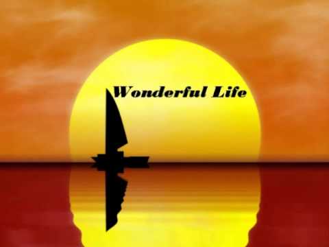 Black-Wonderful Life (fexter remix)