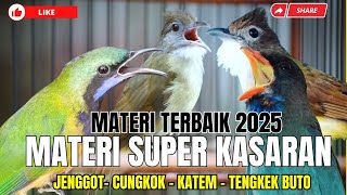 Download lagu MATERI TERBAIK 2025!! KOMBINASI MEWAH KASARAN!! CUNGKOK KUNTI - JENGGOT BESET - TENGKEK BUTO - KATEM mp3 Download lagu MATERI TERBAIK 2025!! KOMBINASI MEWAH KASARAN!! CUNGKOK KUNTI - JENGGOT BESET - TENGKEK BUTO - KATEM mp3