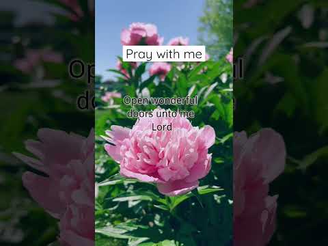 Pray with me, speak this prayer every day for ourselves. By@beyondgraceprayers
