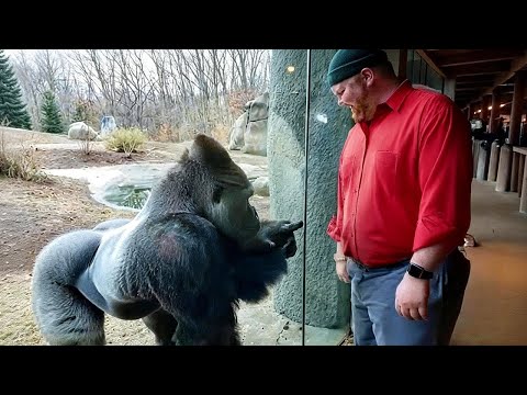 The Funniest Animals On The Internet 😂 NEW Funny Animal Videos 2026!